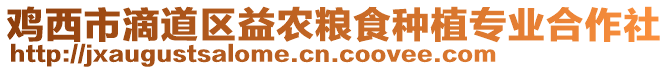 雞西市滴道區(qū)益農(nóng)糧食種植專業(yè)合作社