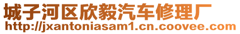 城子河區(qū)欣毅汽車修理廠