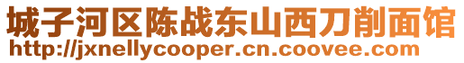 城子河區(qū)陳戰(zhàn)東山西刀削面館