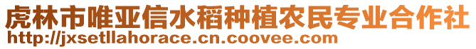 虎林市唯亞信水稻種植農(nóng)民專業(yè)合作社