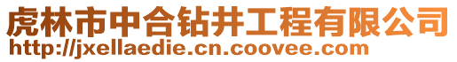 虎林市中合鉆井工程有限公司