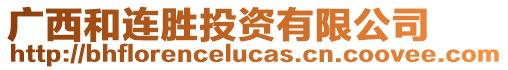 廣西和連勝投資有限公司