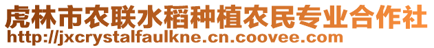 虎林市農(nóng)聯(lián)水稻種植農(nóng)民專業(yè)合作社