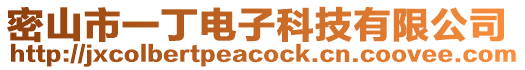 密山市一丁電子科技有限公司