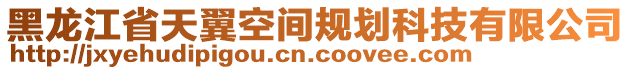 黑龍江省天翼空間規(guī)劃科技有限公司