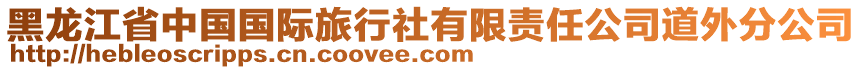 黑龍江省中國國際旅行社有限責任公司道外分公司