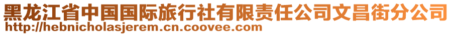 黑龍江省中國國際旅行社有限責任公司文昌街分公司