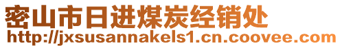 密山市日进煤炭经销处