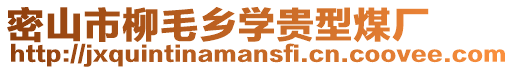 密山市柳毛鄉(xiāng)學貴型煤廠