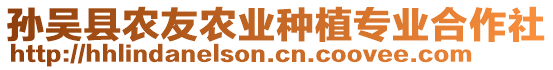 孫吳縣農(nóng)友農(nóng)業(yè)種植專業(yè)合作社