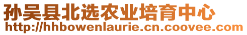 孫吳縣北選農(nóng)業(yè)培育中心