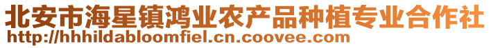 北安市海星鎮(zhèn)鴻業(yè)農(nóng)產(chǎn)品種植專業(yè)合作社