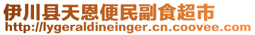 伊川縣天恩便民副食超市