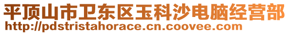 平頂山市衛(wèi)東區(qū)玉科沙電腦經(jīng)營部