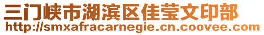 三門峽市湖濱區(qū)佳瑩文印部