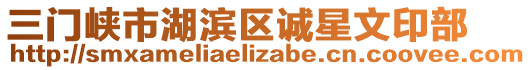 三門峽市湖濱區(qū)誠星文印部