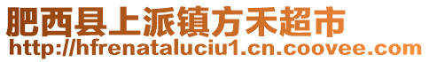 肥西縣上派鎮(zhèn)方禾超市