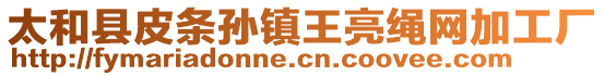 太和縣皮條孫鎮(zhèn)王亮繩網(wǎng)加工廠(chǎng)