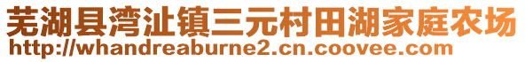 蕪湖縣灣沚鎮(zhèn)三元村田湖家庭農(nóng)場(chǎng)