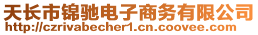 天長市錦馳電子商務(wù)有限公司