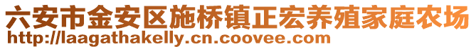 六安市金安區(qū)施橋鎮(zhèn)正宏養(yǎng)殖家庭農(nóng)場