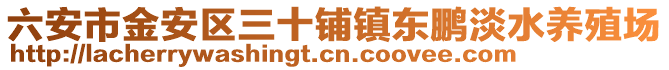 六安市金安區(qū)三十鋪鎮(zhèn)東鵬淡水養(yǎng)殖場(chǎng)