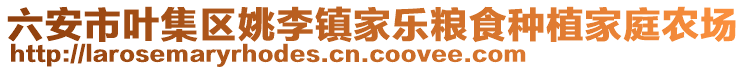 六安市葉集區(qū)姚李鎮(zhèn)家樂糧食種植家庭農(nóng)場