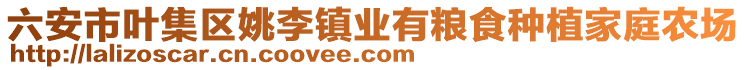 六安市葉集區(qū)姚李鎮(zhèn)業(yè)有糧食種植家庭農(nóng)場(chǎng)