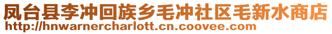 鳳臺縣李沖回族鄉(xiāng)毛沖社區(qū)毛新水商店