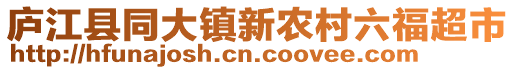 廬江縣同大鎮(zhèn)新農(nóng)村六福超市