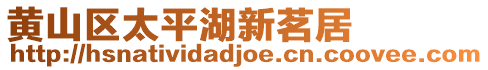 黃山區(qū)太平湖新茗居