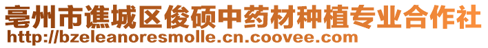 亳州市譙城區(qū)俊碩中藥材種植專業(yè)合作社