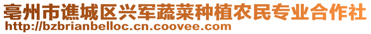 亳州市譙城區(qū)興軍蔬菜種植農(nóng)民專業(yè)合作社