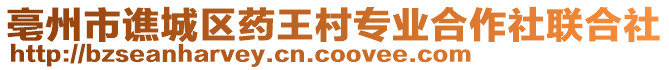 亳州市譙城區(qū)藥王村專業(yè)合作社聯(lián)合社