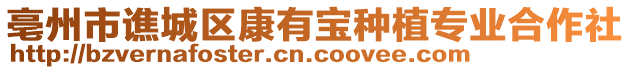 亳州市譙城區(qū)康有寶種植專業(yè)合作社