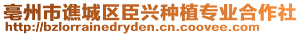 亳州市譙城區(qū)臣興種植專業(yè)合作社