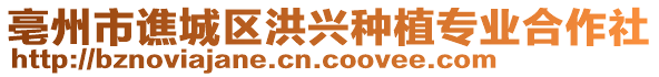 亳州市譙城區(qū)洪興種植專業(yè)合作社