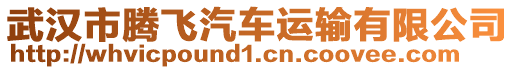 武漢市騰飛汽車運輸有限公司