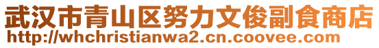 武漢市青山區(qū)努力文俊副食商店