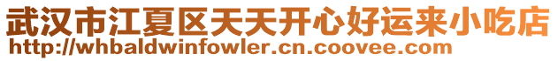 武漢市江夏區(qū)天天開心好運(yùn)來(lái)小吃店