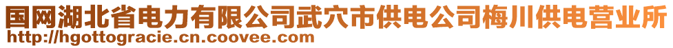 国网湖北省电力有限公司武穴市供电公司梅川供电营业所