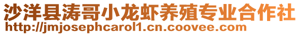 沙洋縣濤哥小龍蝦養(yǎng)殖專業(yè)合作社