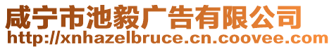 咸寧市池毅廣告有限公司