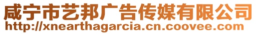 咸寧市藝邦廣告?zhèn)髅接邢薰? style=