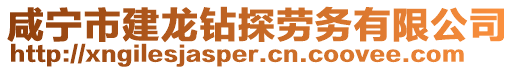 咸寧市建龍鉆探勞務(wù)有限公司