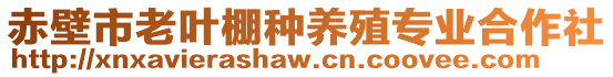 赤壁市老葉棚種養(yǎng)殖專業(yè)合作社