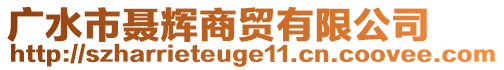 廣水市聶輝商貿有限公司