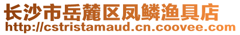 長沙市岳麓區鳳鱗漁具店
