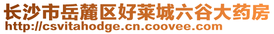 長(zhǎng)沙市岳麓區(qū)好萊城六谷大藥房