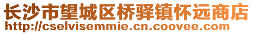 长沙市望城区桥驿镇怀远商店